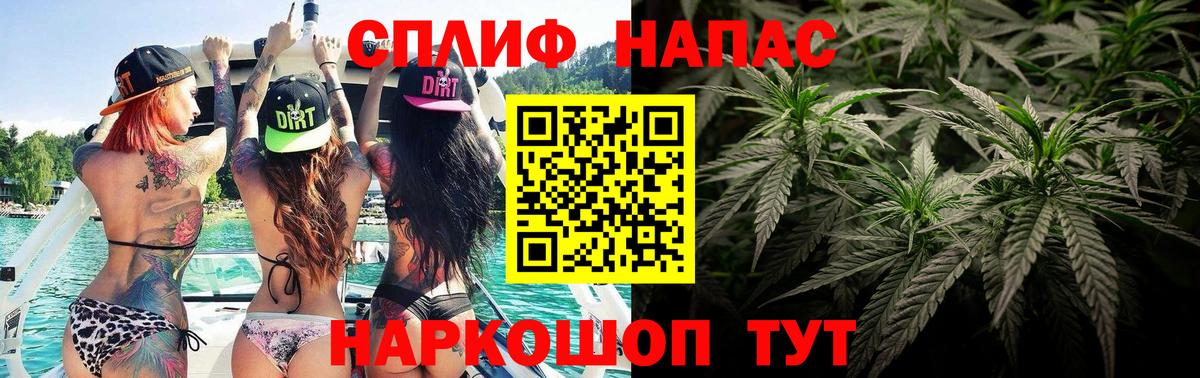 Волхов  Канабис Amnesia  Марихуана ГИДРОПОН  Бошки Шишки гибрид  Вход с VPN 